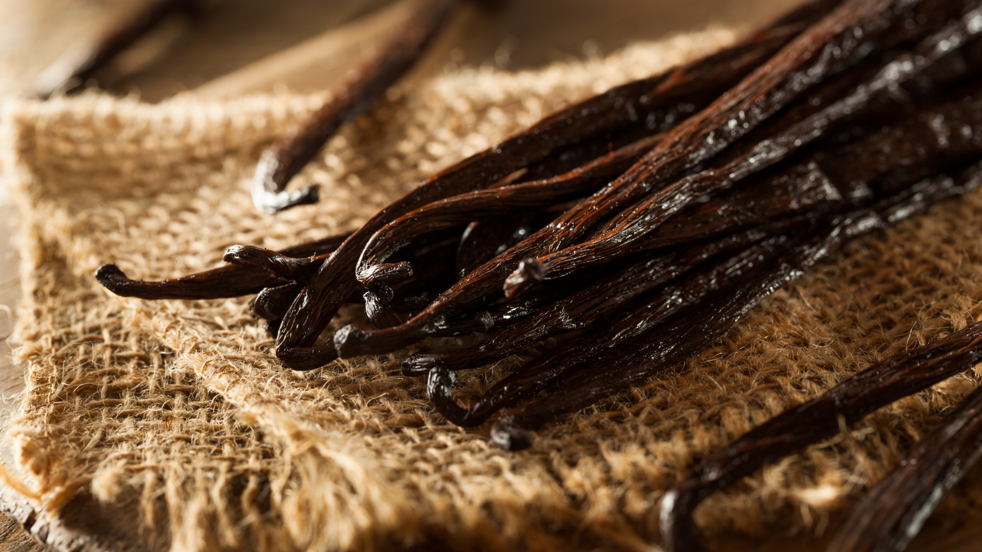 Cured vanilla beans on natural burlap