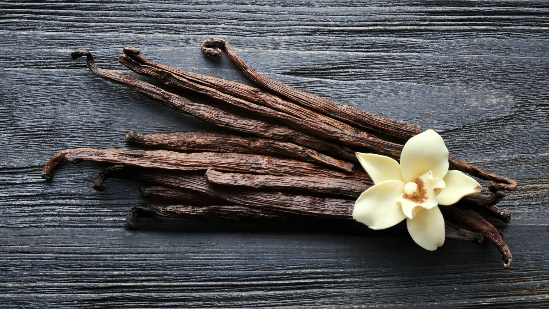 Cured vanilla beans and a vanilla blossom on dark wood